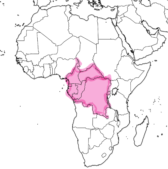 <p>What region is this?</p>