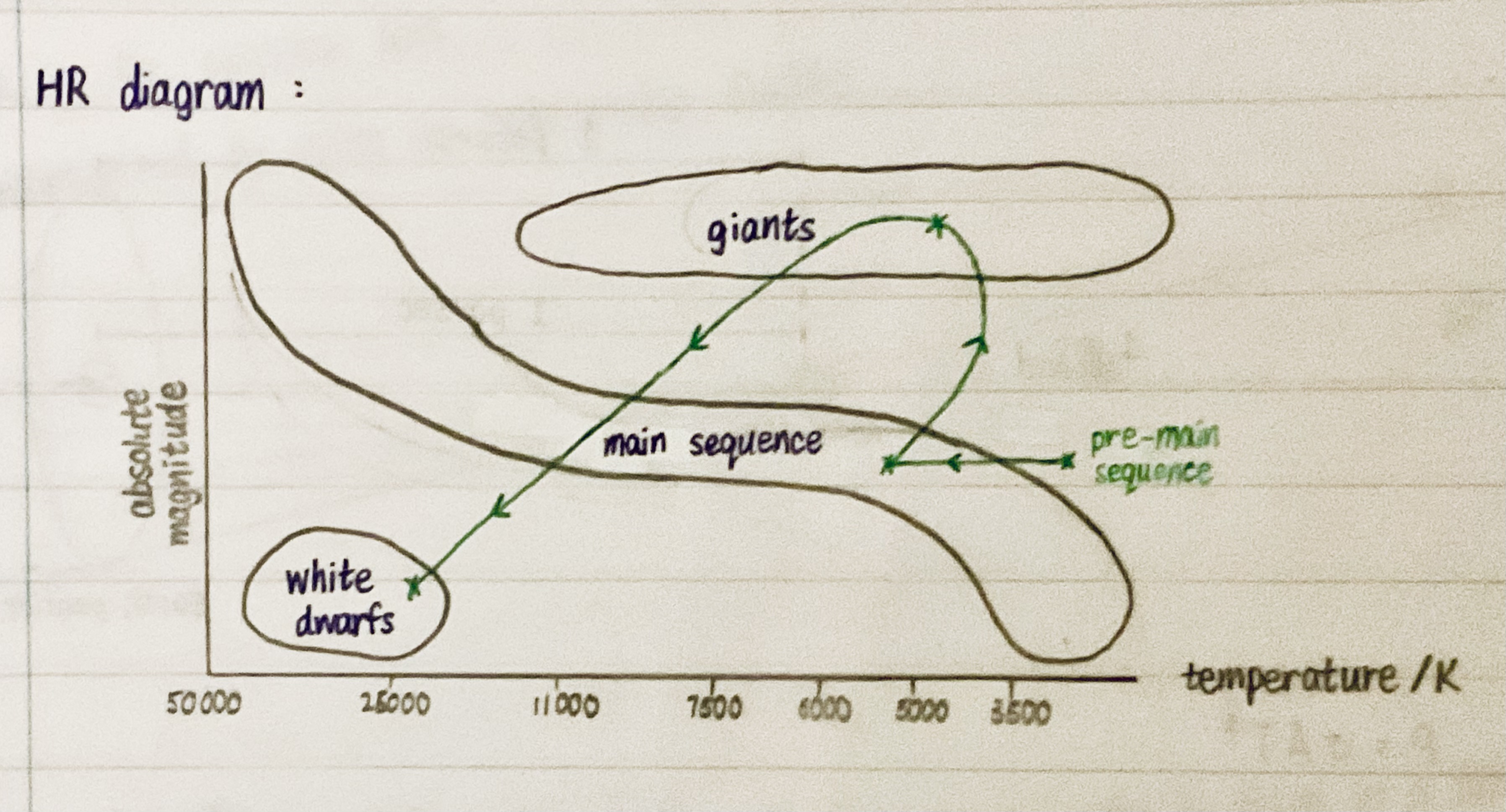 knowt flashcard image
