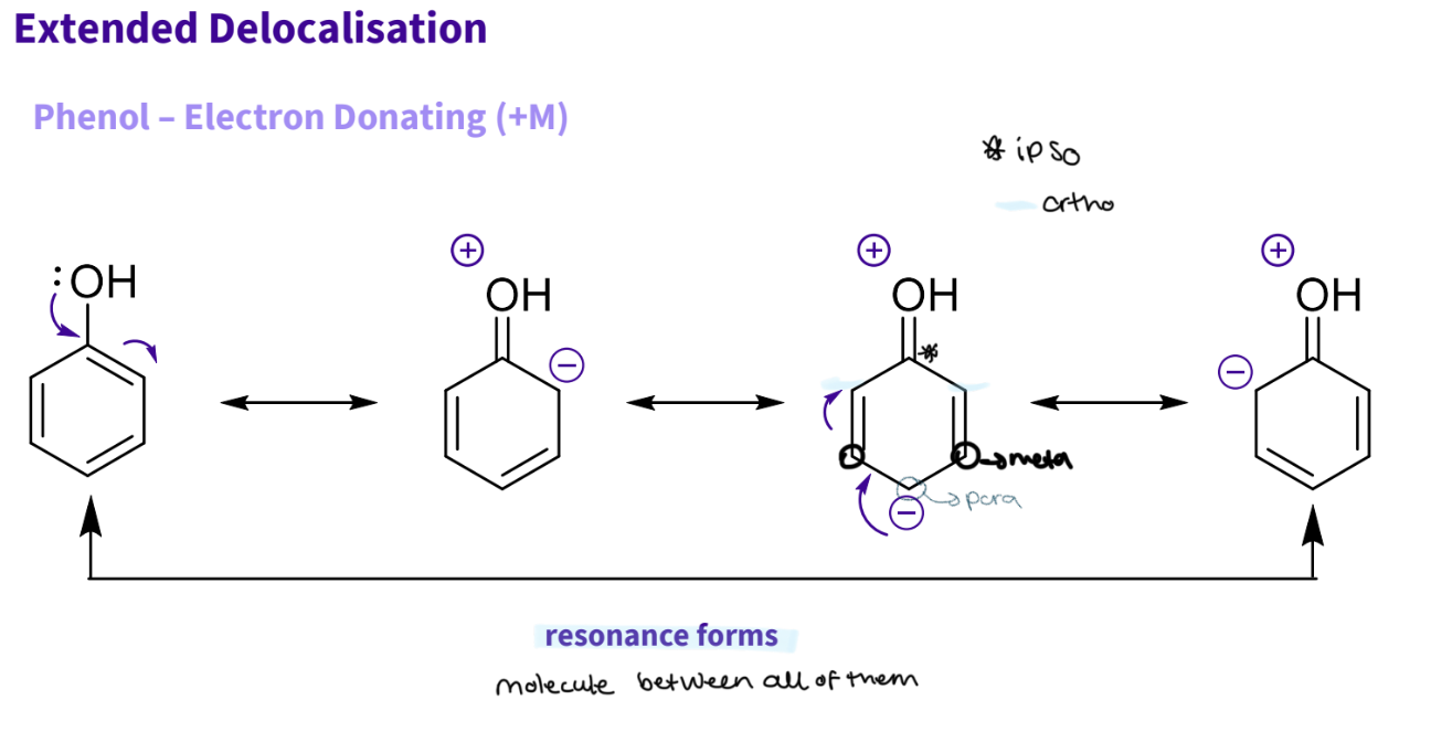 <ul><li><p>phenol is electron donating ( M+) </p></li><li><p>the lone pair of oxygen can feed into the ring and be stabilised by conjugation= larger=better</p></li><li><p>4 resonance forms - actual structure is an average of them all </p></li></ul><p>resonance forms:</p><p>1- normal ,arrow from lone pair to bond the double bond in ring breaks </p><p>2- this results in oxygen gains a + charge - 2 bonds, - ve charge on carbon because it like 4 bonds ,the negative charge then moves round and. the π bond breaks</p><p>3- now a - ve charge on that carbon 4 ,and π bonds at c2 ,c5</p><p>4-now negative charge moves around to bond the then the π bond breaks and there is now a negative charge on carbon 6 and a double bond on c4 </p><p></p><p>note - resonance works by forming ,then breaking a bond to form the the bond - goes round in a circle </p><p></p><p></p>