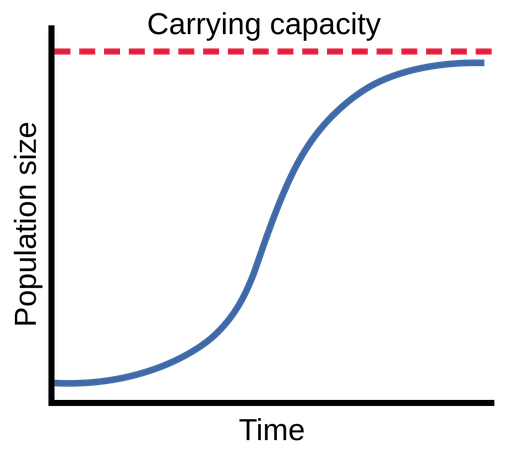 <p>logistic growth </p>