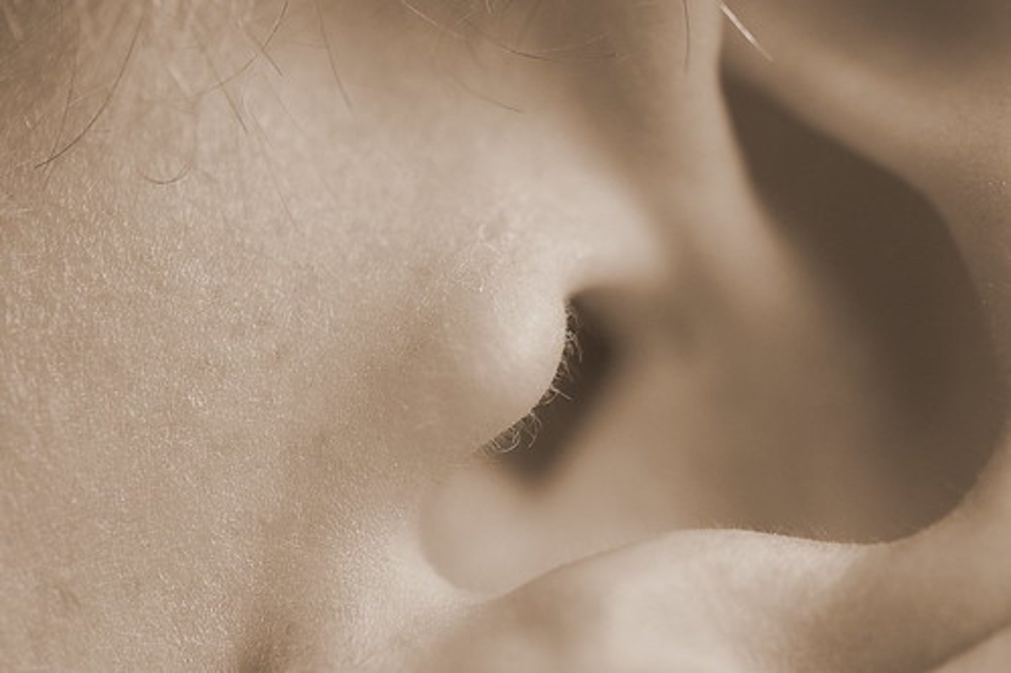 <p>ear</p>