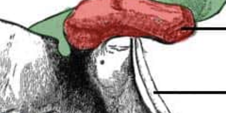 <p>(red highlight)</p>