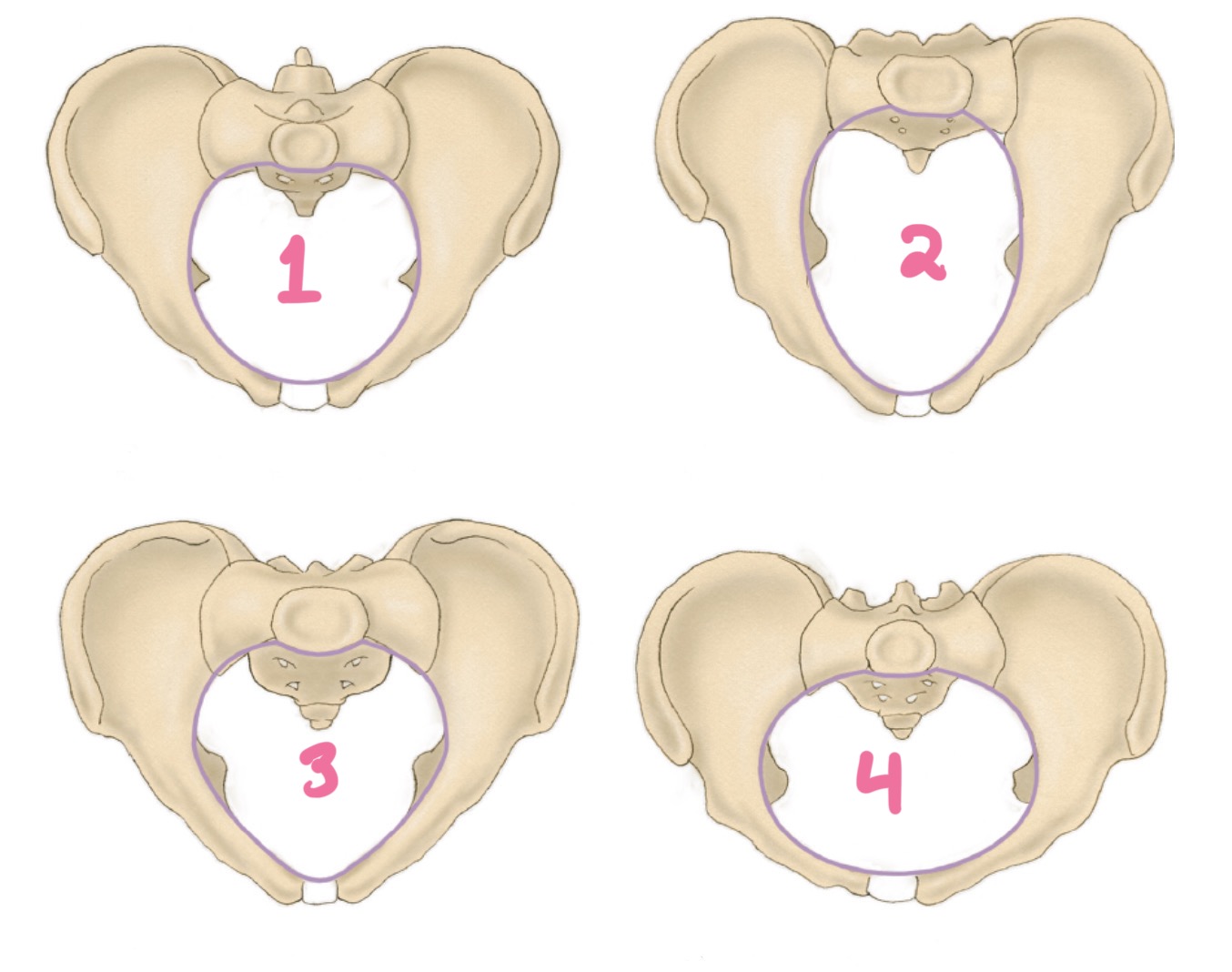 <p>1?</p>