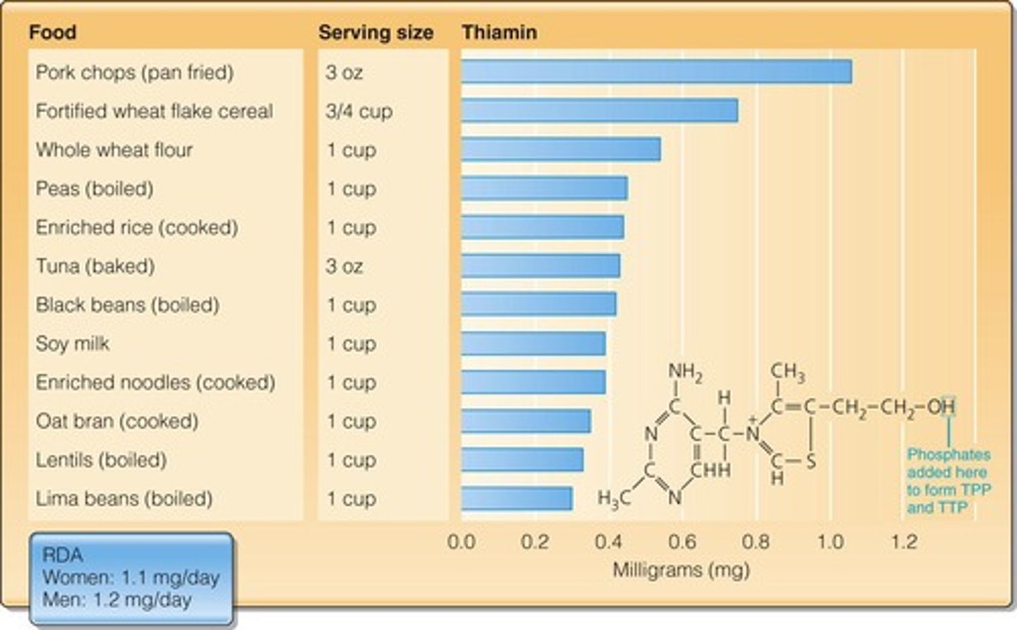 <p>Pork, fish, legumes, whole grains, and enriched grains.</p>