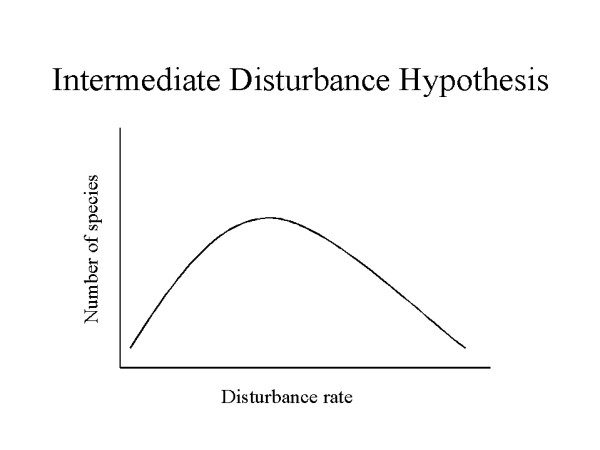 <ul><li><p>diversity is maximized when disturbances are intermediate</p></li><li><p>low diversity: dominance of one species, doesn’t allow others to thrive</p></li><li><p>more frequent disruptions: more diversity, layering, and growing of the mature ecosystem</p></li></ul><p></p>