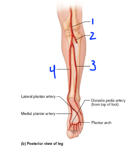 <p>1</p>