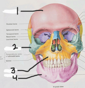 <p>What is #2?</p>
