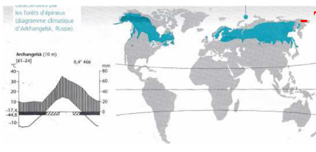<p><span>Taïga / forêt boréale&nbsp;</span></p>