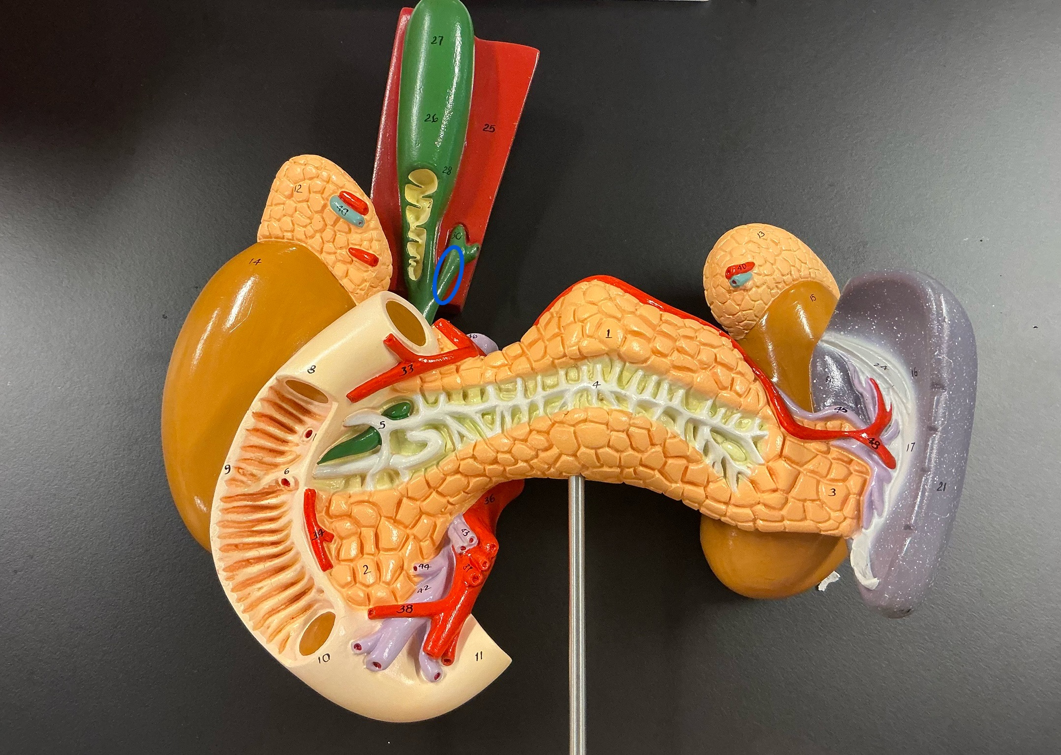 <p>what is this?</p>