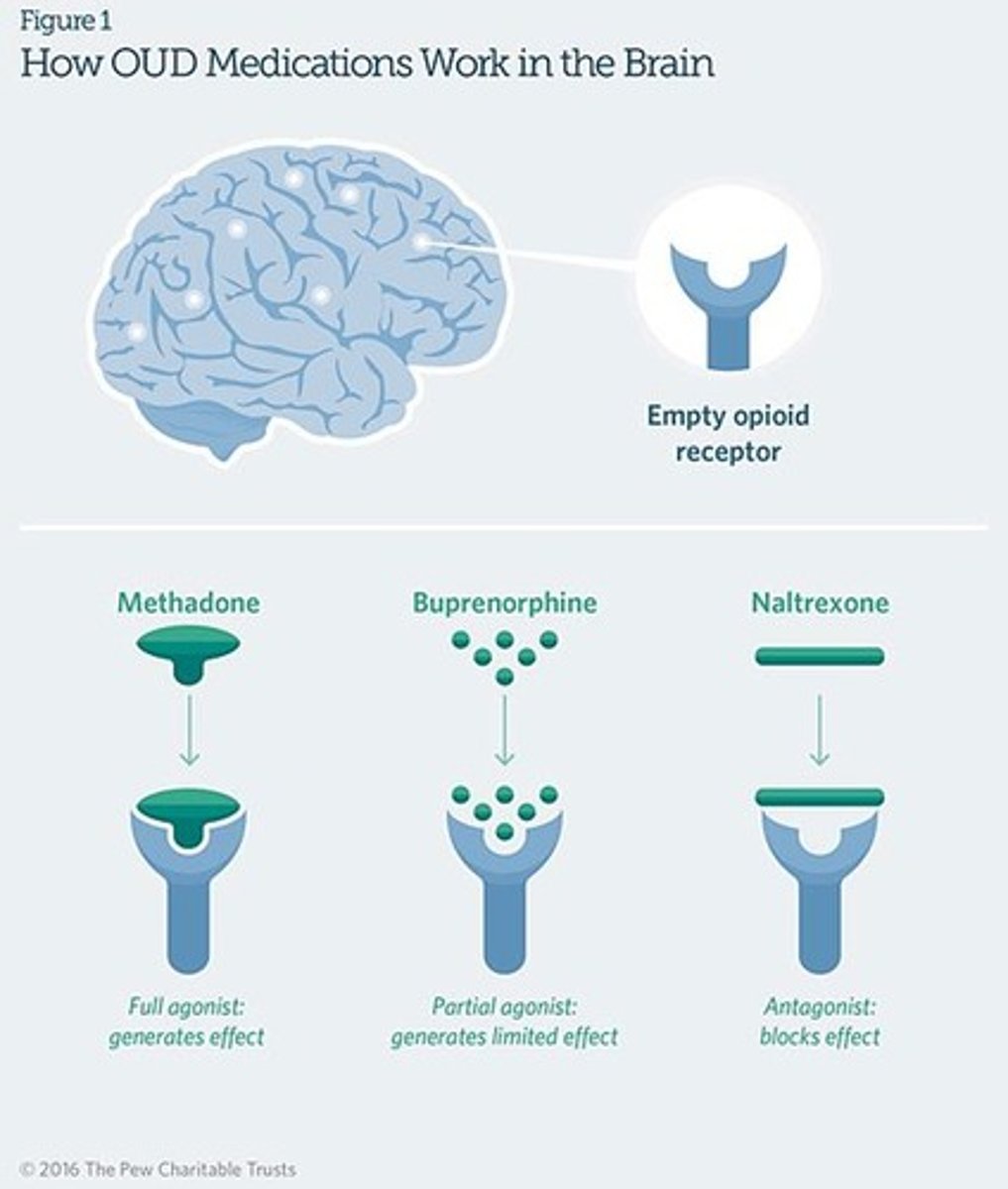 <p>Mimics drug effects (e.g., methadone for opiate addiction, nicotine patch)</p>