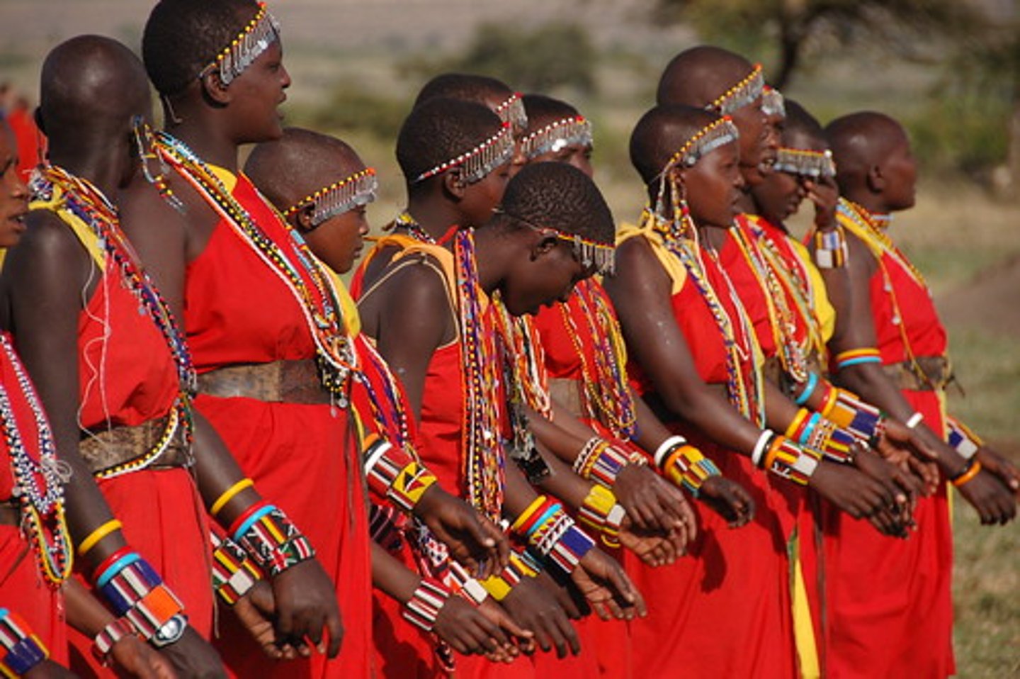 <p>A social organization made up of villages, bands, or other groups with a common ancestry, language, culture, and name</p>