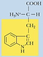 <p>Name (Abbr.) - polarity, a/n/b</p>