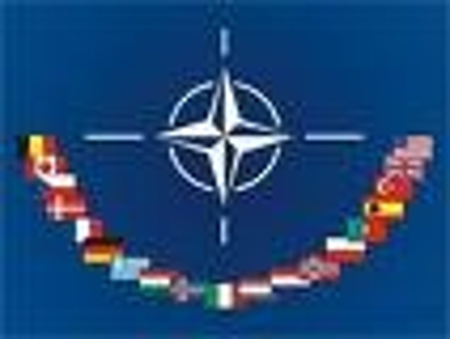 <p>North Atlantic Treaty Organization; organization of democratic countries</p>