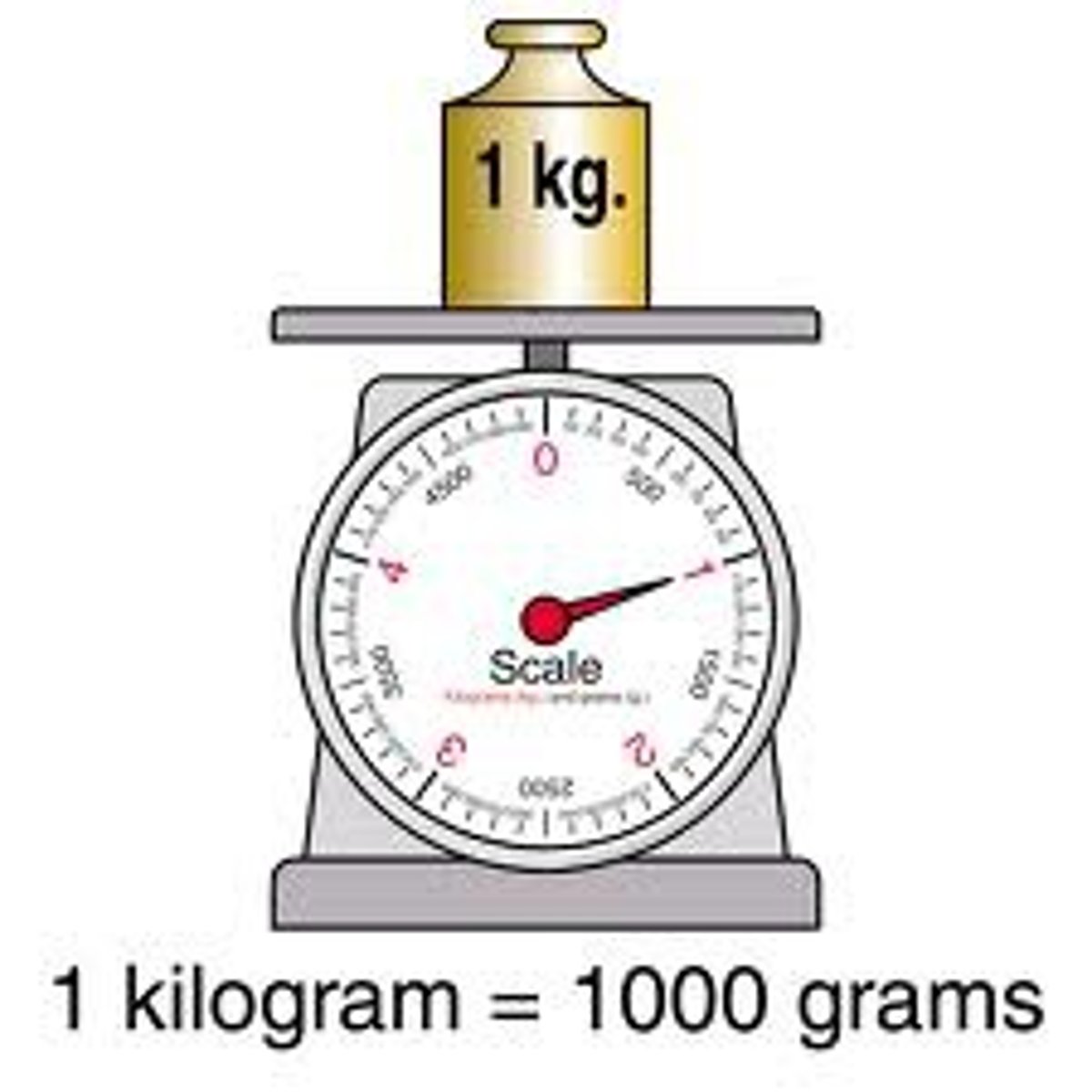 <p>kilogram (kg)</p>