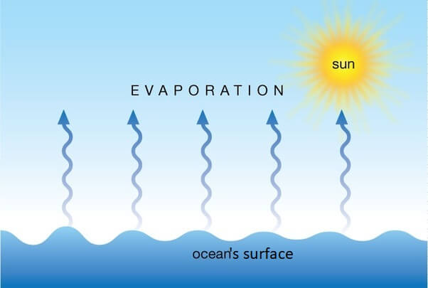 <p>evaporation</p>