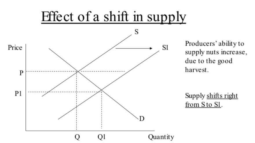 <p>What effect will the price mechanism have if producers’ ability to supply nuts increase, due to the good harvest - Show this on a graph</p>