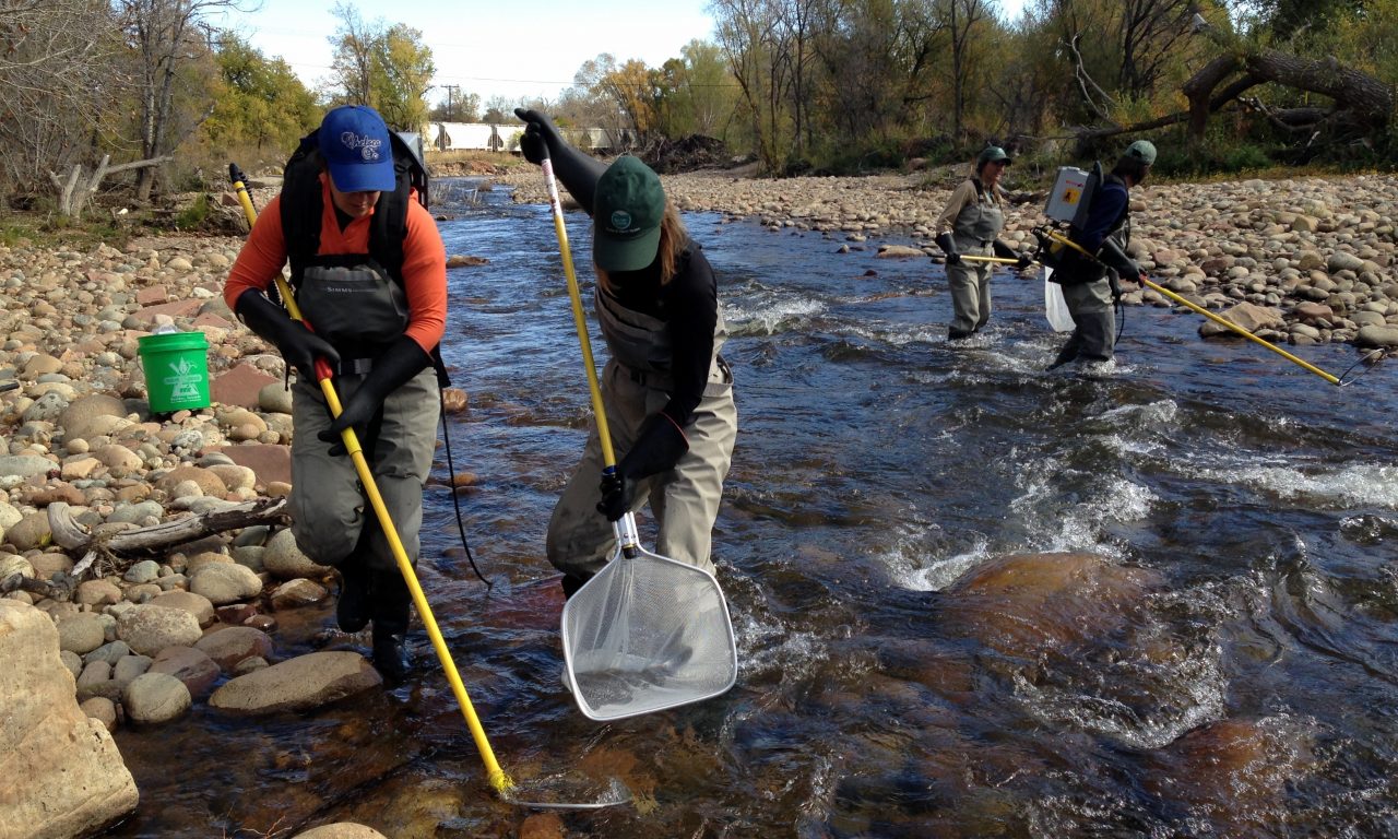 <p>The <u>process of observing living organisms</u> to determine the overall health of an ecosystem is called __________.</p>