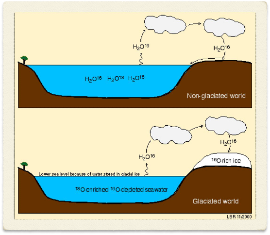 <p><span style="font-family: "Times New Roman"; line-height: normal; font-size: 7pt;"><span> </span></span>99.8% <span><sup><span>16</span></sup><span>O</span></span></p><p class="MsoListParagraphCxSpMiddle"><span style="font-family: "Times New Roman"; line-height: normal; font-size: 7pt;"><span> </span></span>0.2 % <span><sup><span>18</span></sup><span>O</span></span></p><p class="MsoListParagraphCxSpLast"><span><span>Remember 18oxygen is heavier</span></span></p>