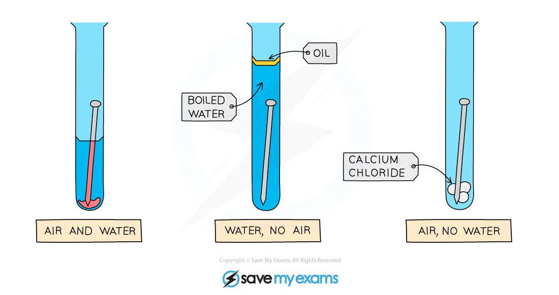 <p>A test tube with a nail and water and air</p><p>A test tube with a nail and water, but no air as there is a layer of oil on top and boiled water.</p><p>A test tube with a nail and air, but no water</p>