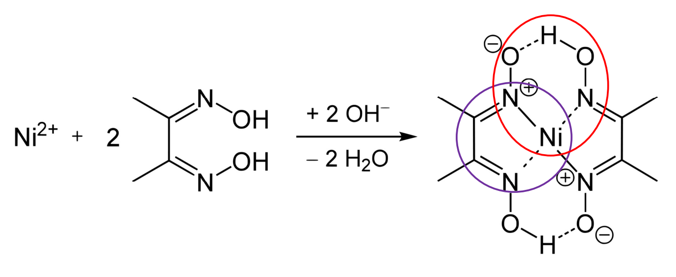 <p>Chelates form 5- or 6-membered rings, which are usually most stable.</p>
