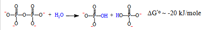 <p>yes it contains energy aswell</p>