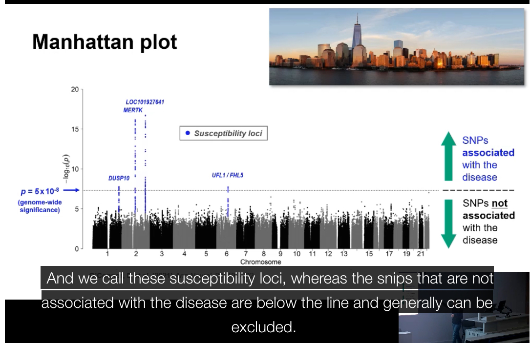 <p>A graph used to display GWAS results across all chromosomes.</p><p class="p1">• X-axis: chromosome position</p><p class="p1">• Y-axis: –log₁₀(p-value)</p><p class="p1">Each dot = one SNP</p><p class="p1">Peaks represent SNPs with significant associations.</p><p class="p1"></p><p class="p1">What does the peak in a Manhattan plot indicate?:</p><p class="p1">The chromosomal region most strongly associated with the disease. The exact causal variant may not be the top SNP itself but another variant in linkage disequilibrium with it.</p>
