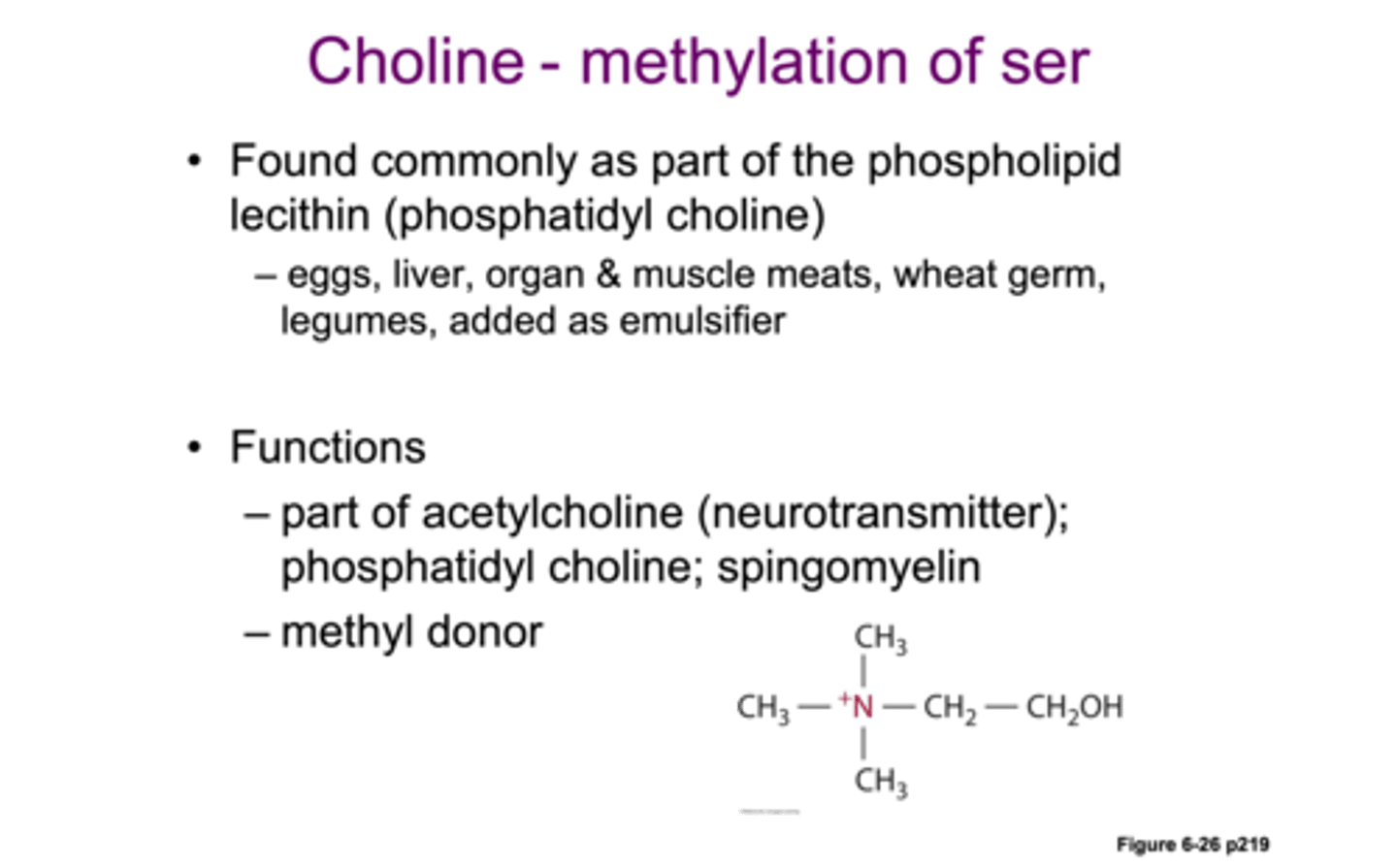 <p>1) cell membrane integrity; Phosphatidylcholine (aka Lecithin) makes up 50% of all the phospholipids in the human body & lipid transport (lipoproteins)</p><p>2) Choline = part of acetylcholine & sphingomyelin</p>