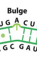 <p>An unpaired nucleotide on one side of a base-paired region.</p>