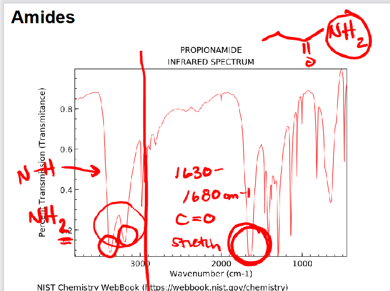 <p>Amide</p>