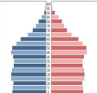 <p><strong>What stage of DTM is this?</strong></p>