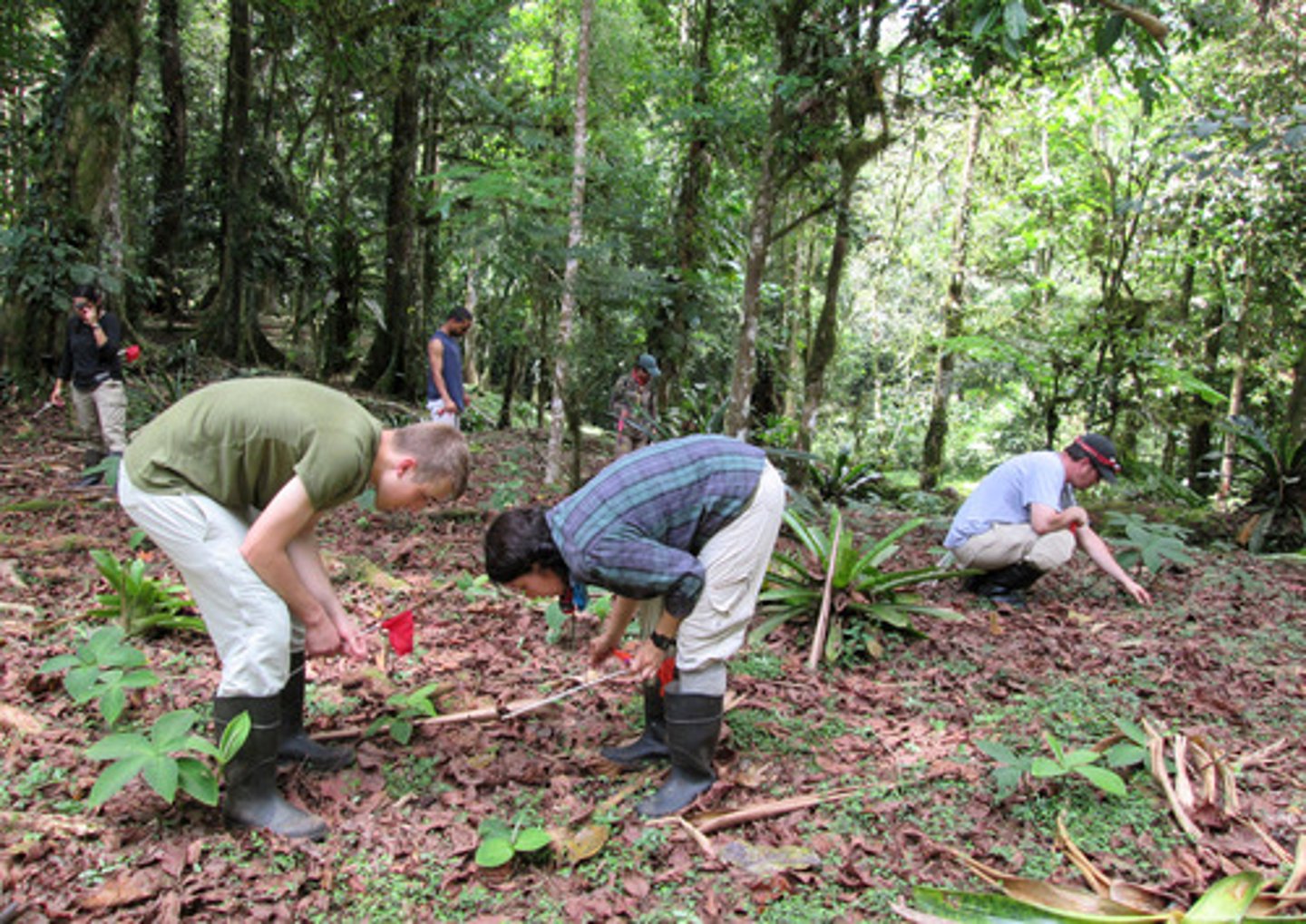 <p>the experience of understanding and applying specific geographical knowledge, understanding and skills to a particular and real out-of-classroom context</p>