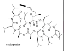 <p>Name Enzyme&nbsp;</p>