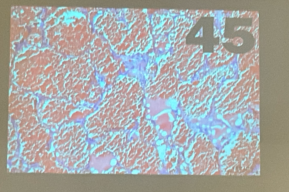 term image